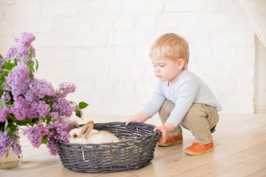 Hafif bir arka plan üzerinde bir hasır sepette leylak çiçekleri ile küçük bunnies ile sarı saçlı küçük sevimli çocuk