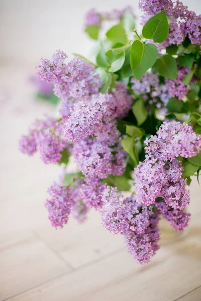 hafif bir arka plan üzerinde beyaz leylak ile cam vazo