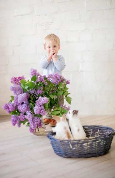 Little Cute Boy Blond Hair Little Bunnies Lilac Flowers Wicker — Stock Photo, Image