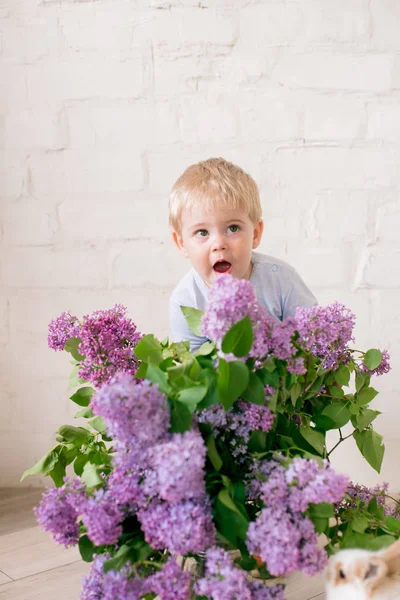 Little Cute Boy Blond Włosy Małymi Króliczkami Liliowymi Kwiatami Wiklinowy — Zdjęcie stockowe