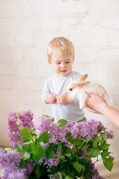 Hafif bir arka plan üzerinde bir hasır sepette leylak çiçekleri ile küçük bunnies ile sarı saçlı küçük sevimli çocuk
