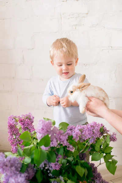Hafif bir arka plan üzerinde bir hasır sepette leylak çiçekleri ile küçük bunnies ile sarı saçlı küçük sevimli çocuk