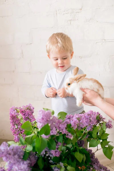 Hafif bir arka plan üzerinde bir hasır sepette leylak çiçekleri ile küçük bunnies ile sarı saçlı küçük sevimli çocuk