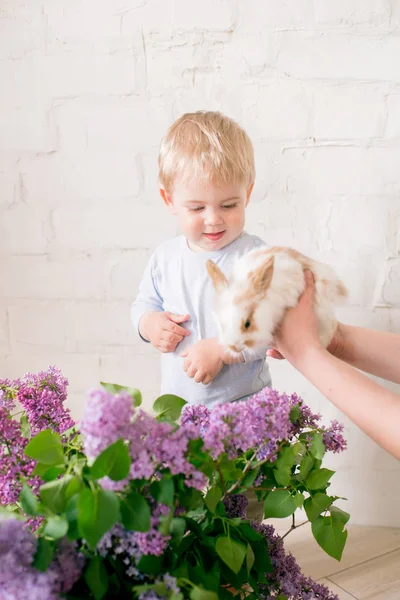 Little Cute Boy Blond Hair Little Bunnies Lilac Flowers Wicker — Stock Photo, Image