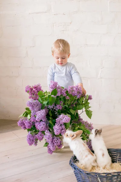Hafif bir arka plan üzerinde bir hasır sepette leylak çiçekleri ile küçük bunnies ile sarı saçlı küçük sevimli çocuk