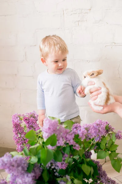 Menino Bonito Com Cabelo Loiro Com Coelhinhos Com Flores Lilás — Fotografia de Stock