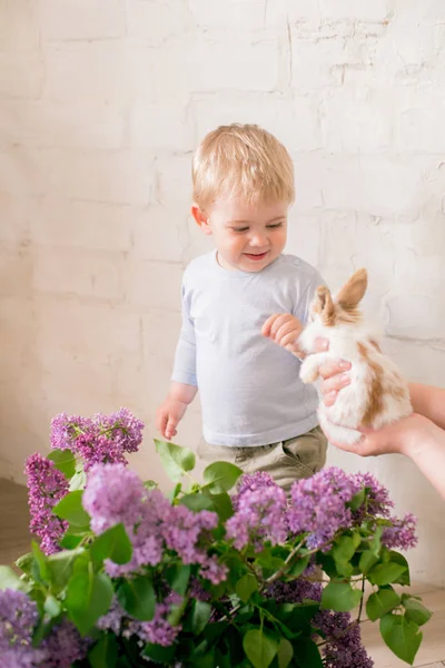 Little Cute Boy Blond Hair Little Bunnies Lilac Flowers Wicker — Stock Photo, Image