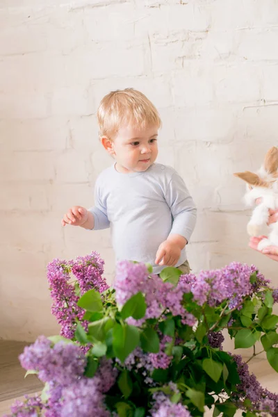 Hafif bir arka plan üzerinde bir hasır sepette leylak çiçekleri ile küçük bunnies ile sarı saçlı küçük sevimli çocuk