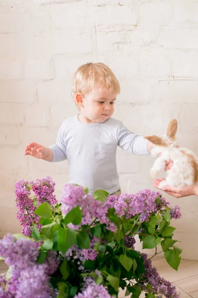 Petit Garçon Mignon Aux Cheveux Blonds Avec Des Petits Lapins — Photo