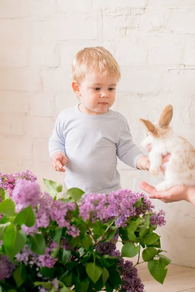 Niño Lindo Con Pelo Rubio Con Pequeños Conejitos Con Flores —  Fotos de Stock