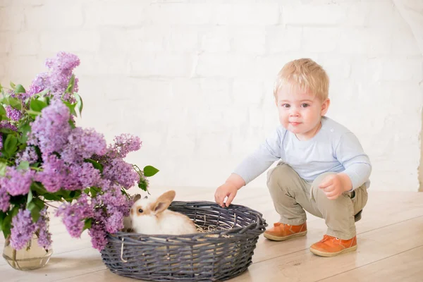 Hafif bir arka plan üzerinde bir hasır sepette leylak çiçekleri ile küçük bunnies ile sarı saçlı küçük sevimli çocuk