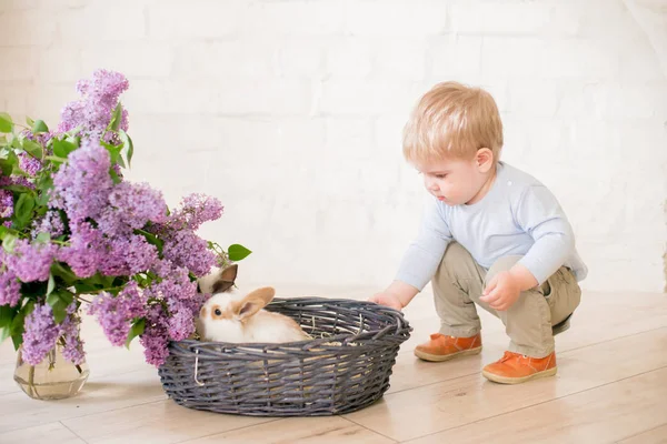 Hafif bir arka plan üzerinde bir hasır sepette leylak çiçekleri ile küçük bunnies ile sarı saçlı küçük sevimli çocuk