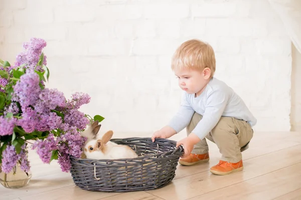 Hafif bir arka plan üzerinde bir hasır sepette leylak çiçekleri ile küçük bunnies ile sarı saçlı küçük sevimli çocuk