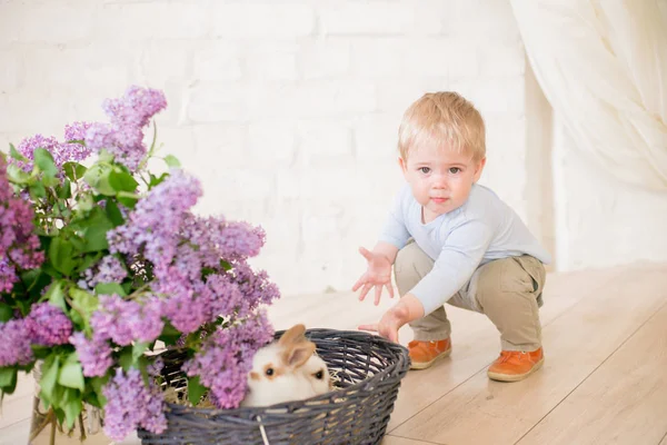 Little Cute Boy Blond Włosy Małymi Króliczkami Liliowymi Kwiatami Wiklinowy — Zdjęcie stockowe