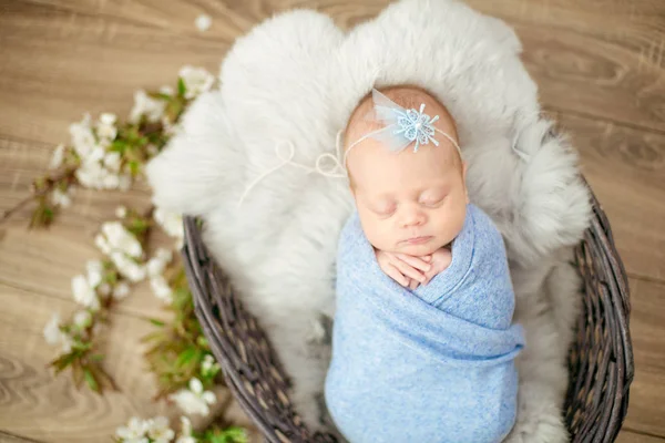 Perfect Newborn Baby Girl Blue Blanket Wicker Basket Decorated Branches — Stock Photo, Image