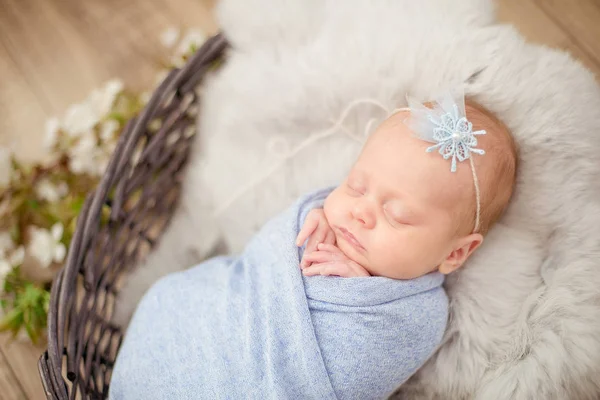 Perfekte Neugeborene Mädchen Blauer Decke Einem Weidenkorb Mit Zweigen Von — Stockfoto