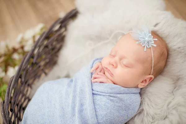 Perfekte Neugeborene Mädchen Blauer Decke Einem Weidenkorb Mit Zweigen Von — Stockfoto