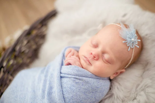 Perfect Newborn Baby Girl Blue Blanket Wicker Basket Decorated Branches — Stock Photo, Image