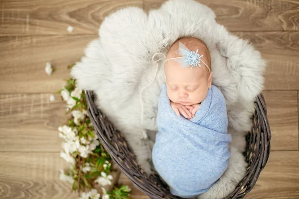 Perfect Newborn Baby Girl Blue Blanket Wicker Basket Decorated Branches — Stock Photo, Image