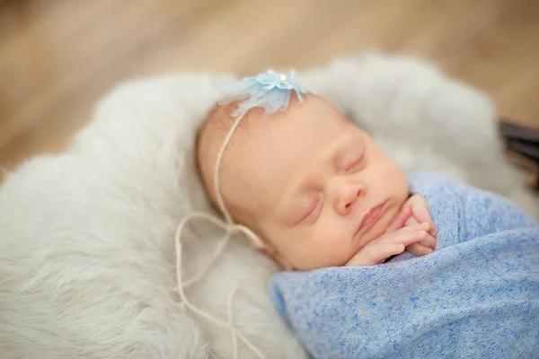 Perfect Newborn Baby Girl Blue Blanket Wicker Basket Decorated Branches — Stock Photo, Image