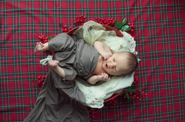 Roztomilý Malý Chlapeček Vánoční Koše Zdobí Jehličí Červené Bobule Červený — Stock fotografie
