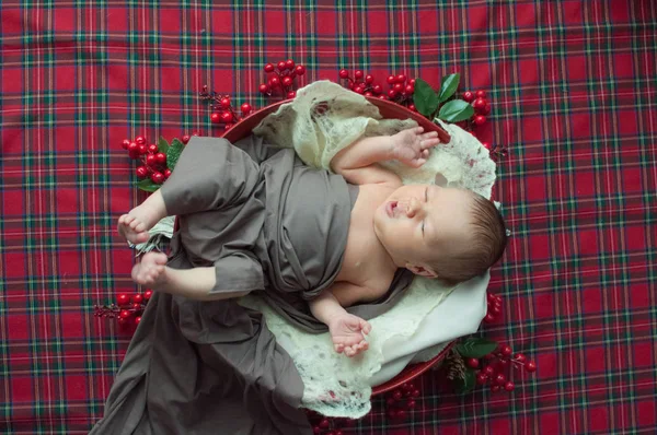 Roztomilý Malý Chlapeček Vánoční Koše Zdobí Jehličí Červené Bobule Červený — Stock fotografie