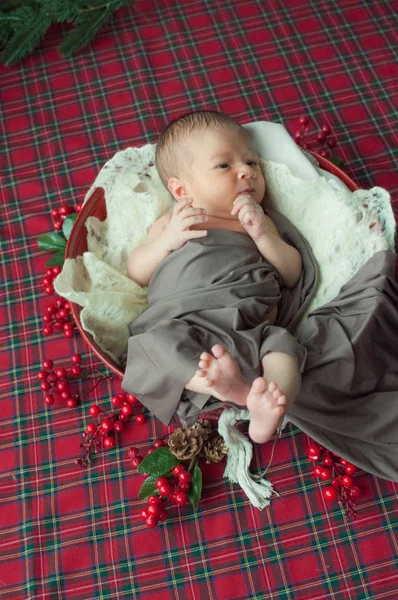 Милый Маленький Мальчик Рождественской Корзине Украшенной Сосновыми Иглами Красными Ягодами — стоковое фото