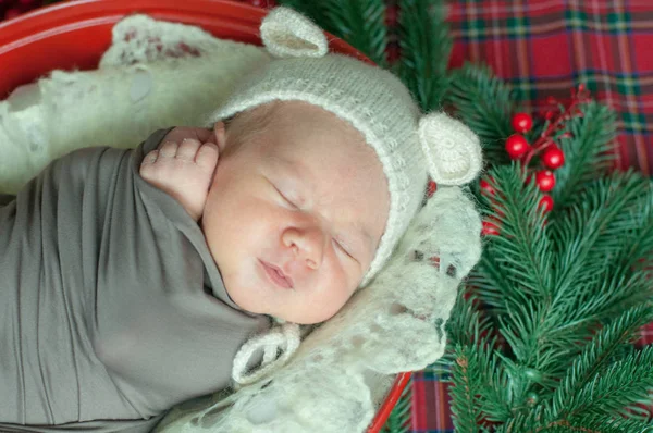 Schattige Kleine Babyjongen Een Teddy Hoed Een Mand Kerst Versierd — Stockfoto