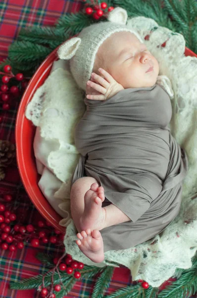 Cute Little Baby Boy Teddy Hat Christmas Basket Decorated Pine — Stock Photo, Image