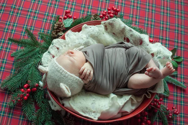 Cute Little Chłopca Kapeluszu Teddy Koszyku Bożego Narodzenia Urządzone Igieł — Zdjęcie stockowe