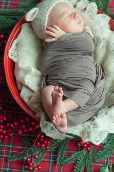 Χαριτωμένο Μωρό Αγοράκι Καπέλο Αρκουδάκια Ένα Καλάθι Χριστούγεννα Διακόσμηση Πευκοβελόνας — Φωτογραφία Αρχείου