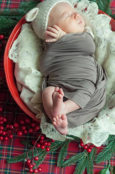 Cute Little Baby Boy Teddy Hat Christmas Basket Decorated Pine — Stock Photo, Image