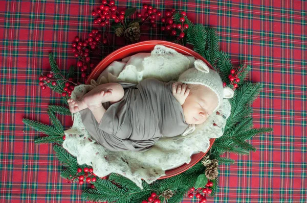 Sevimli Küçük Oğlu Noel Sepet Içinde Teddy Şapkalı Çam Iğneleri — Stok fotoğraf