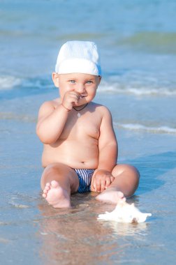 Küçük yürümeye başlayan çocuk büyük bir kabuk ile güneşli bir günde yaz aylarında su yakınında plajda oturan
