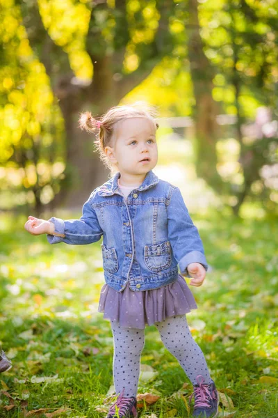 Una Ragazzina Carina Con Una Giacca Jeans Sta Giocando Nel — Foto Stock