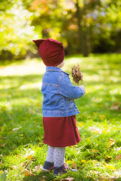 Linda Niña Una Chaqueta Mezclilla Está Jugando Parque Otoño Feliz —  Fotos de Stock