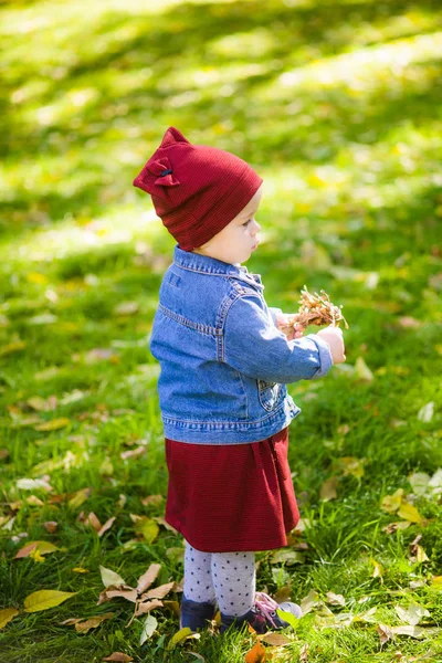 穿着牛仔夹克的可爱小女孩正在秋天的公园里玩耍 快乐的童年 — 图库照片