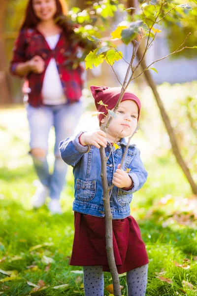 Uma Jovem Mãe Grávida Brinca Com Sua Filha Parque Outono — Fotografia de Stock