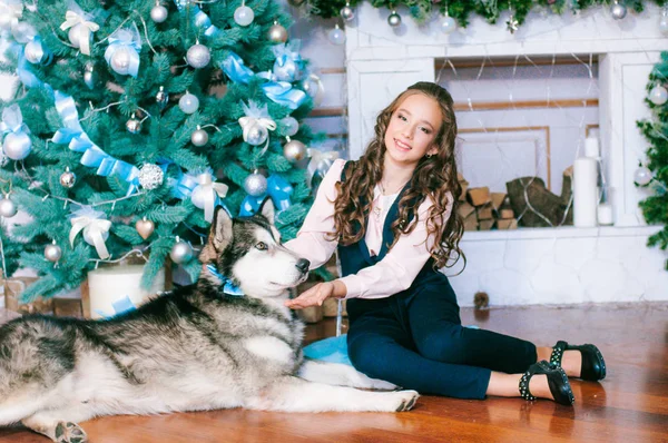 Nettes Mädchen Mit Malamute Hause Weihnachtlich Dekorierten Zimmer Frohe Weihnachtsstimmung — Stockfoto