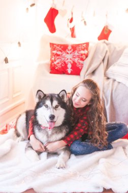 Noel için dekore odada evde malamute ile kırmızı damalı gömlek sevimli kız. Mutlu noel ruh hali