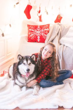 Noel için dekore odada evde malamute ile kırmızı damalı gömlek sevimli kız. Mutlu noel ruh hali