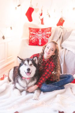 Noel için dekore odada evde malamute ile kırmızı damalı gömlek sevimli kız. Mutlu noel ruh hali