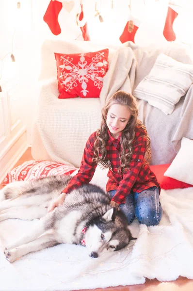 Linda Chica Una Camisa Cuadros Rojo Con Malamute Casa Habitación — Foto de Stock