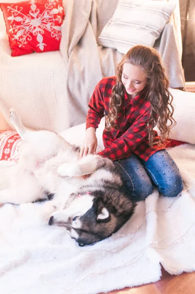 Linda Chica Una Camisa Cuadros Rojo Con Malamute Casa Habitación — Foto de Stock