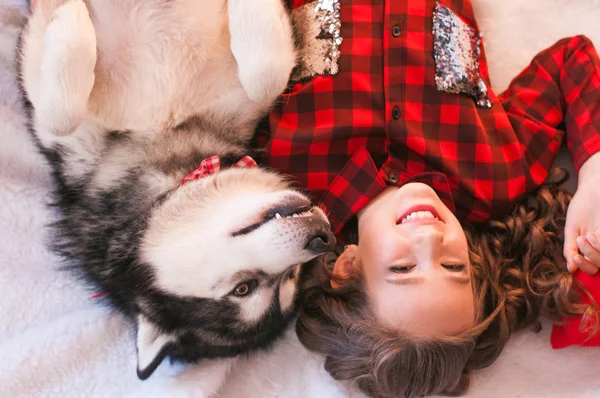 Cute girl in a red checkered shirt with malamute at home in the room decorated for Christmas. Happy christmas mood