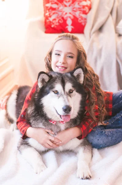 Linda Chica Una Camisa Cuadros Rojo Con Malamute Casa Habitación — Foto de Stock