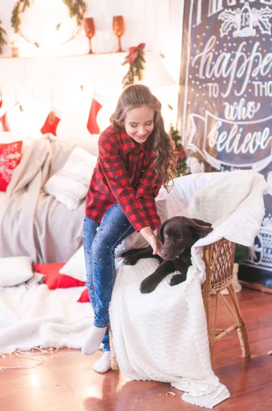Aranyos Lány Egy Piros Kockás Póló Kutyával Labrador Otthon Szobában — Stock Fotó