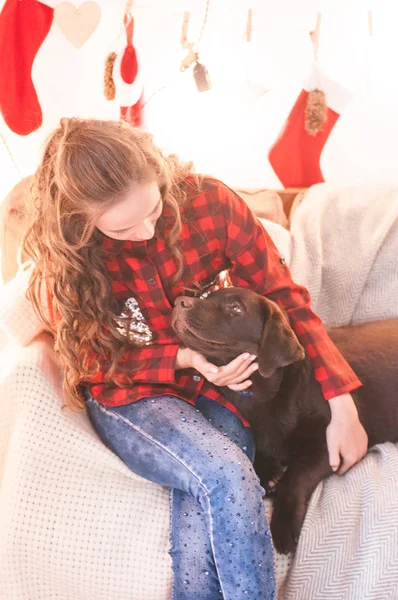 クリスマスのために飾られた部屋で自宅で犬のラブラドールと赤いチェッカーシャツのかわいい女の子 幸せなクリスマスの気分 — ストック写真