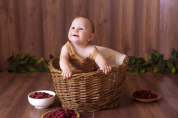 Roztomilá Chlapeček Koši Čerstvými Plody Šťastné Zdravé Dětství — Stock fotografie