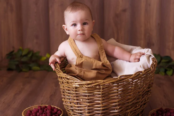 Cute Little Chłopiec Chłopca Koszyku Świeżych Malin Szczęśliwe Zdrowe Dzieciństwo — Zdjęcie stockowe